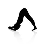 dolphin_pose.gif